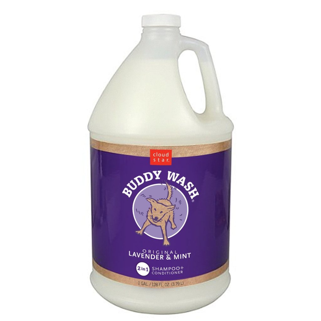 Best Shampoo for Border Collies; Cleaning, Coat Care, and More