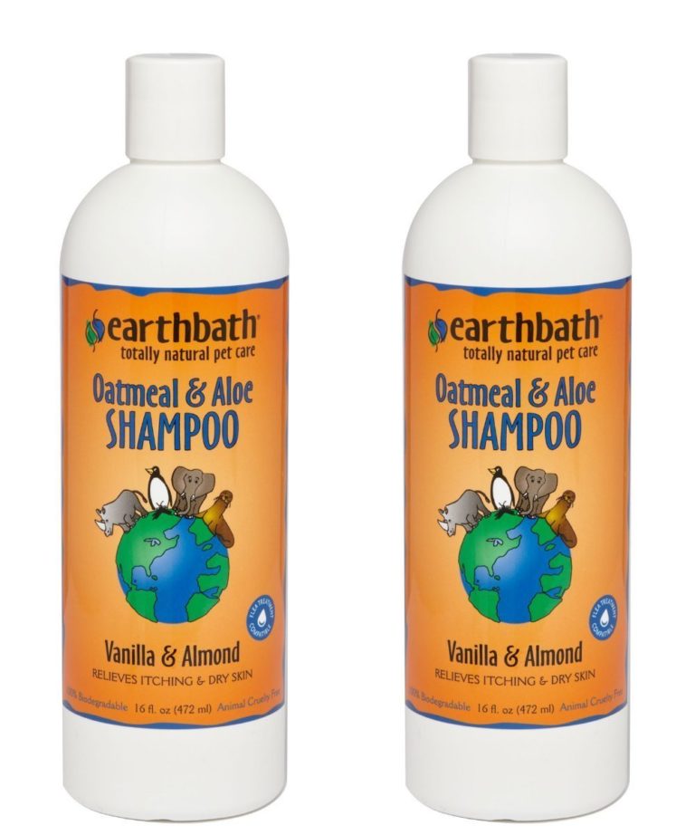 Best Shampoo for Border Collies; Cleaning, Coat Care, and More