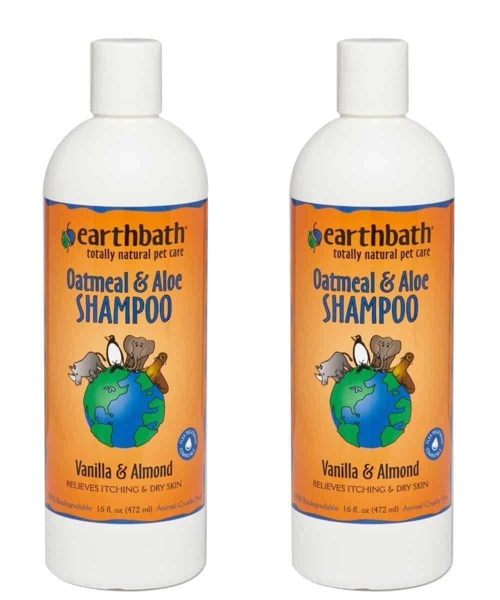 Best Shampoo for Border Collies; Cleaning, Coat Care, and More
