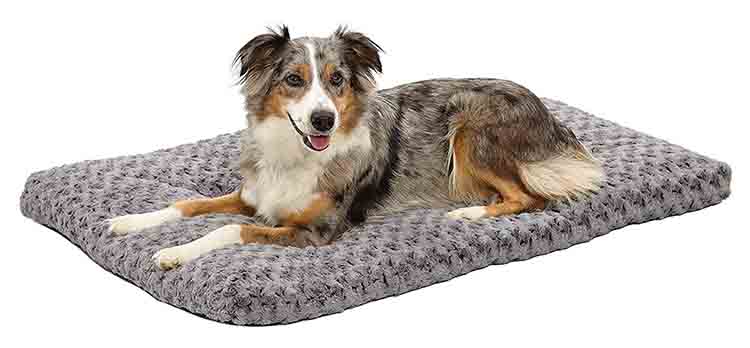 MidWest Homes for Pets Deluxe Super Plush Bed Photo