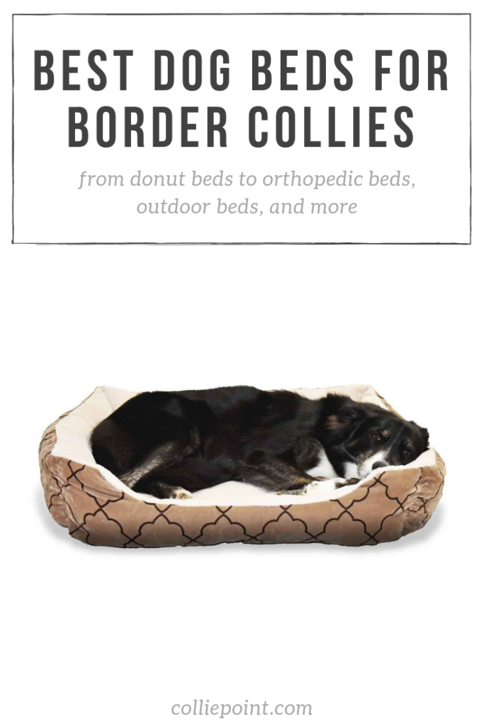 The Best Dog Beds for Border Collies ColliePoint