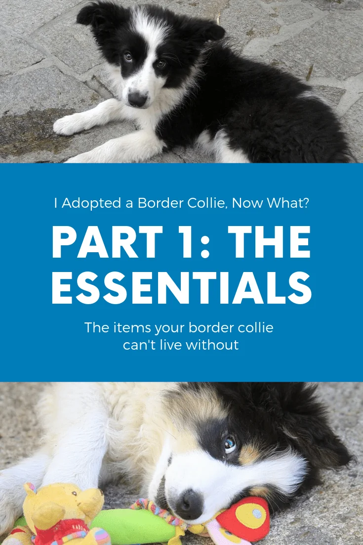 Part 1: The Essentials Photo