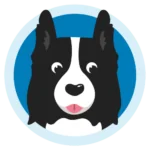 ColliePoint logo