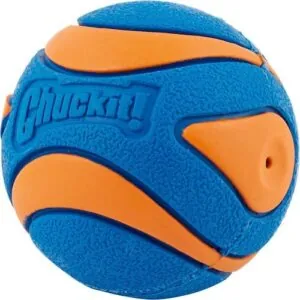 Chuckit! Ultra Squeaker Ball Photo